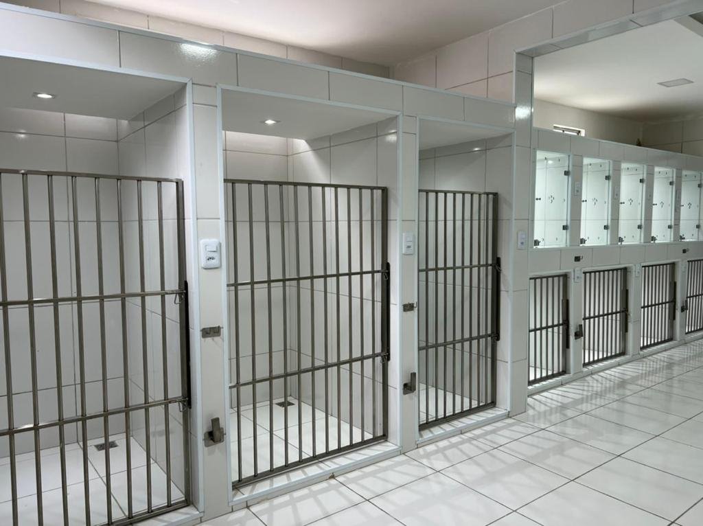 Vetlife | Clínica Veterinária 24h em Fortaleza