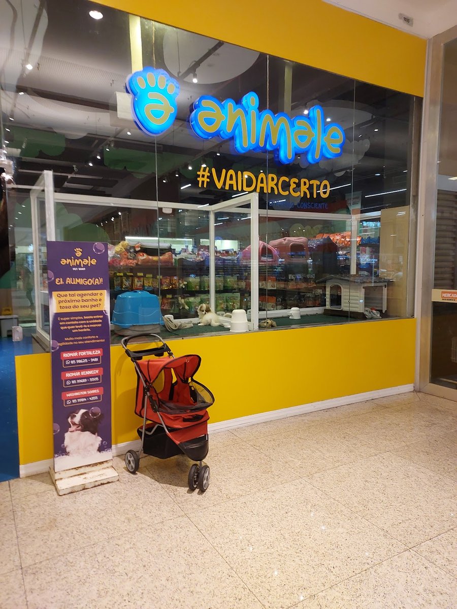Animale PetShop (RioMar Kennedy): Filhote, Ração, Coleira, Cachorro, Gato, Roedores, Fortaleza CE