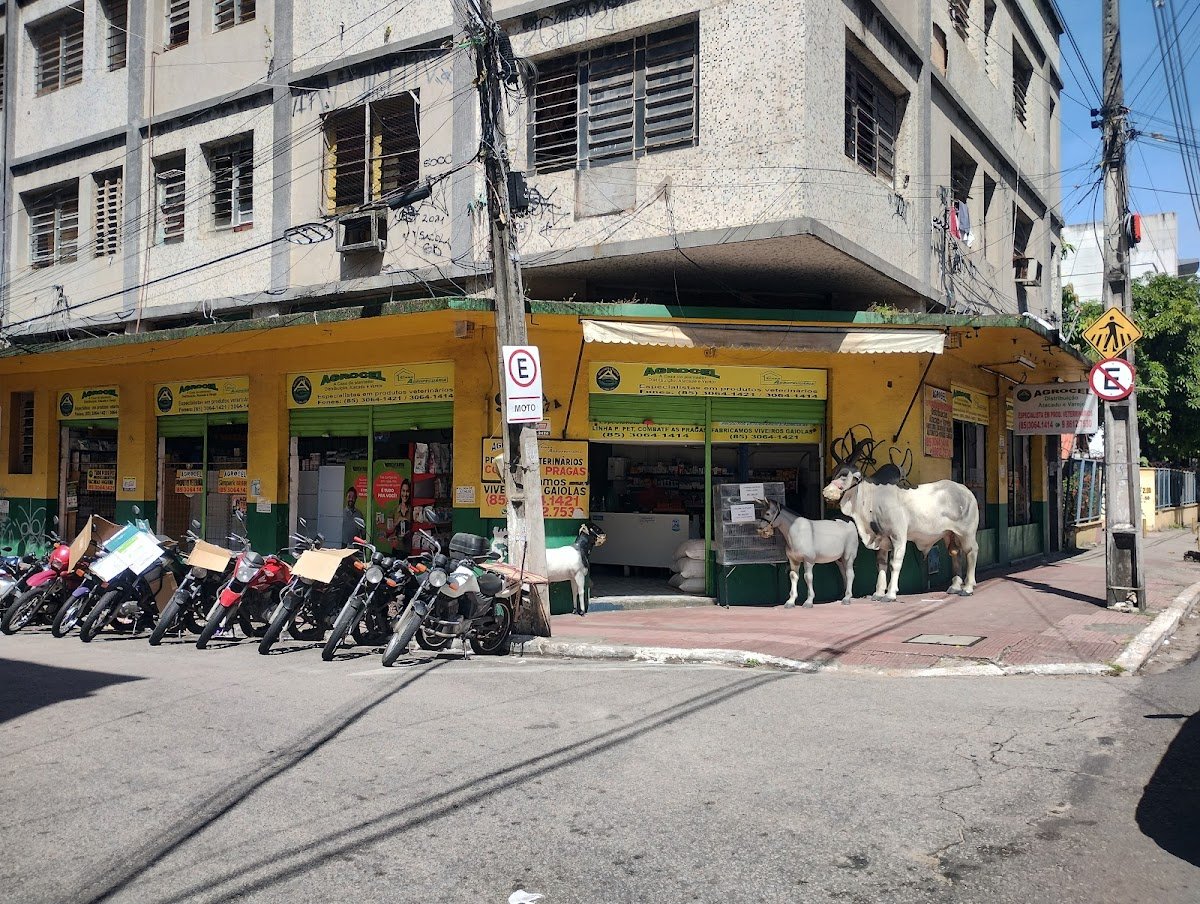 Agrocel | Agropecuária Cearense