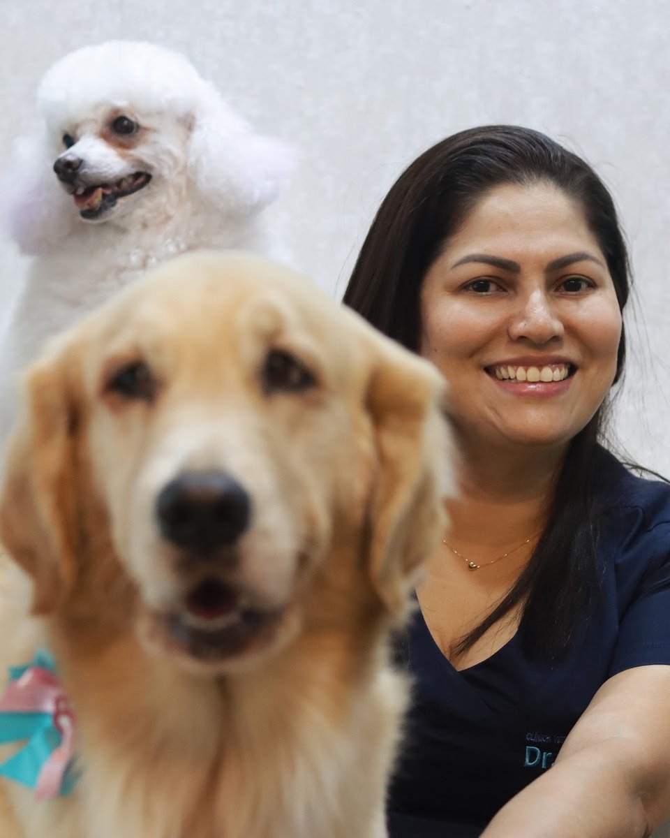 Clínica Veterinária Dr.Amarante - Pet Shop em Manaus