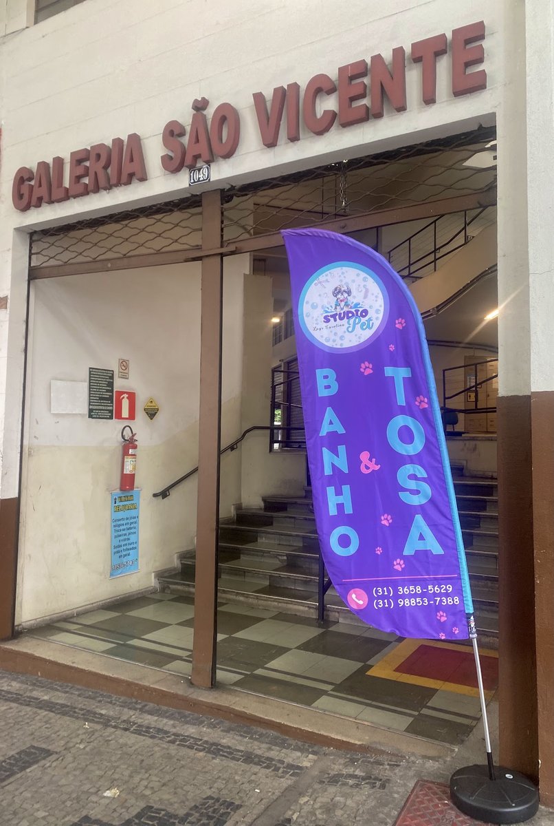 Studio Pet Lays Carolina Banho & Tosa - Petshop - Pet Shop em Belo Horizonte