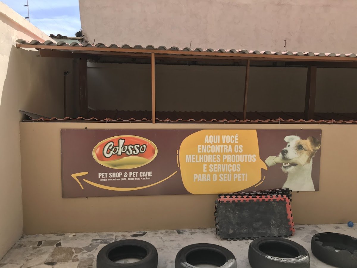 PETSHOP HOTEL E CRECHE COLOSSO