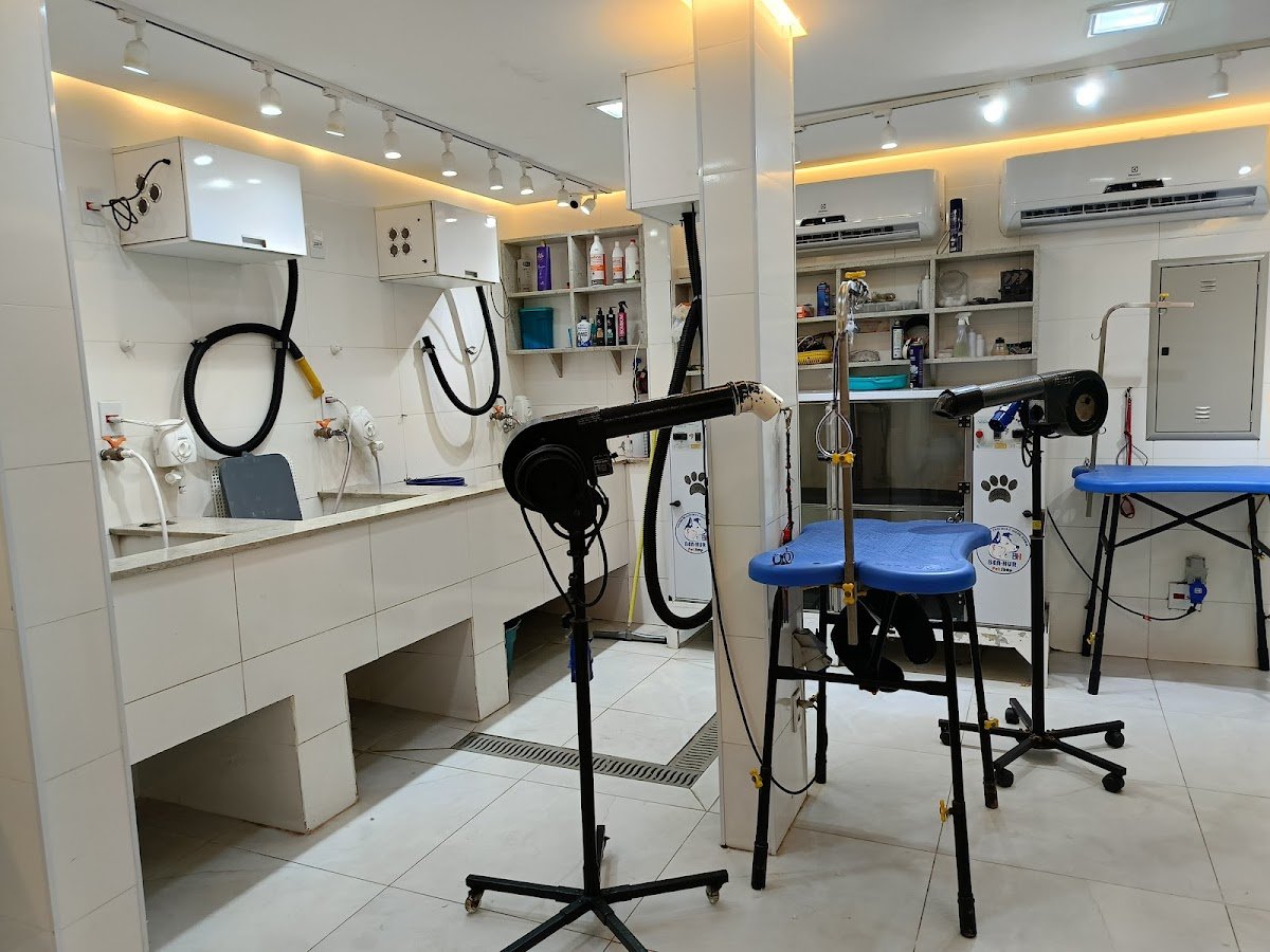 Clínica Veterinária 24h - BenHur Pets - Pet Shop em Manaus