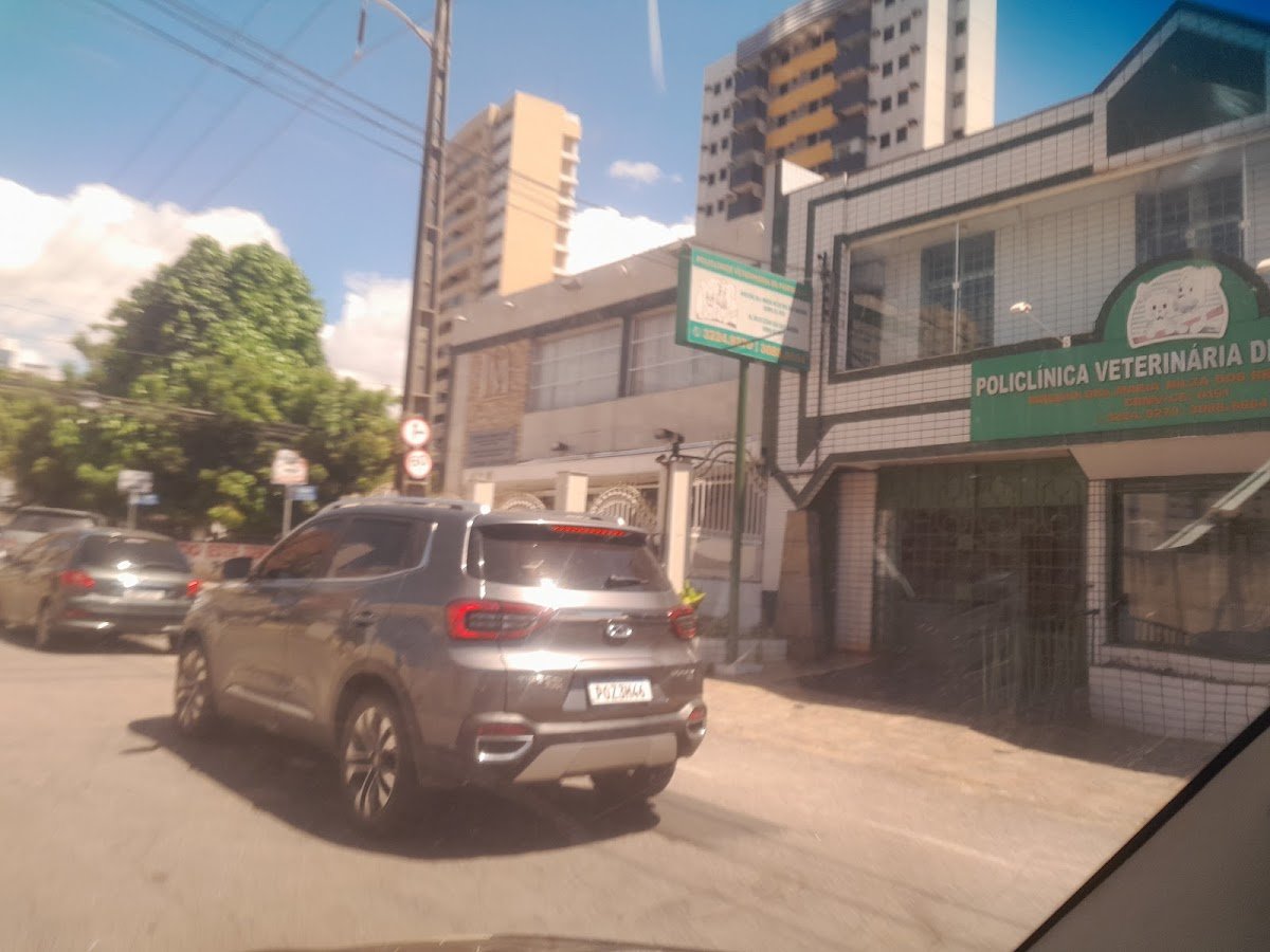 Policlínica Veterinária De Fortaleza