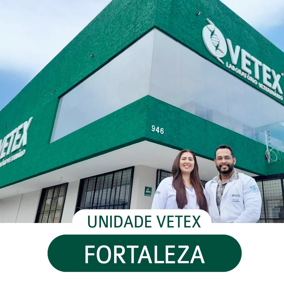 VETEX Laboratório Veterinário Fortaleza