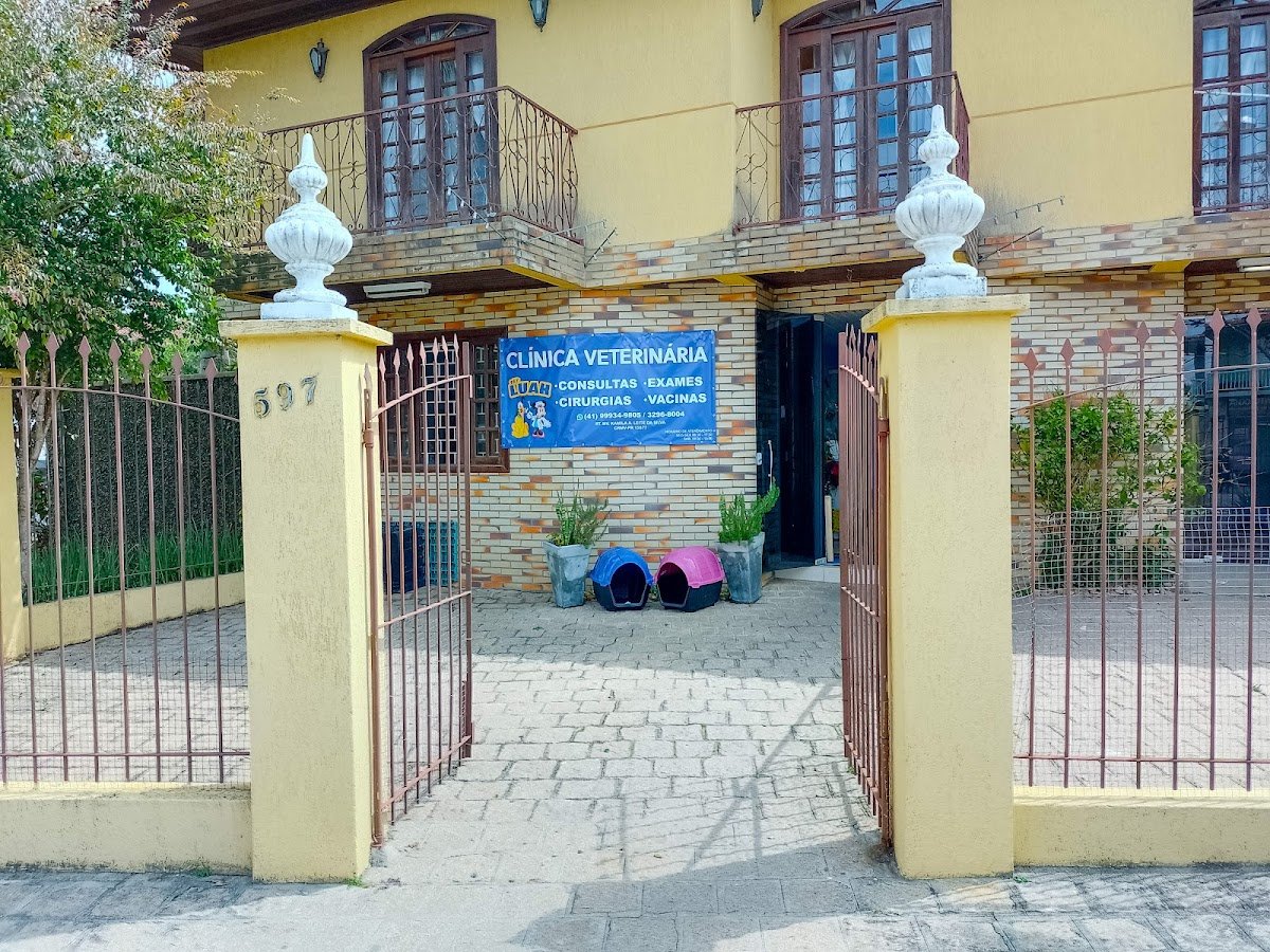 Pet Luah banho e tosa