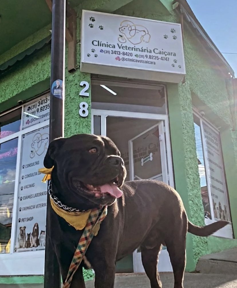 Clínica Veterinária Caiçara - Pet Shop em Belo Horizonte