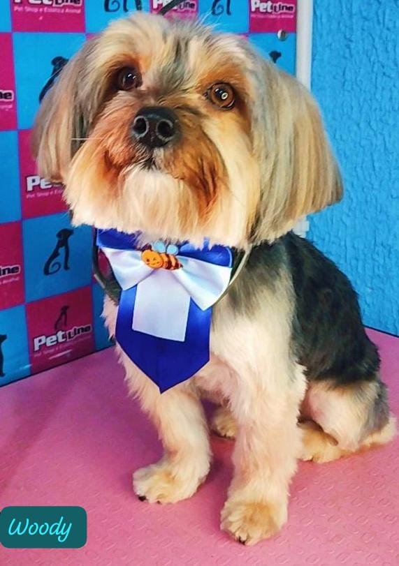 Banho e tosa , Estética Animal , acessórios pet , Petline Petshop