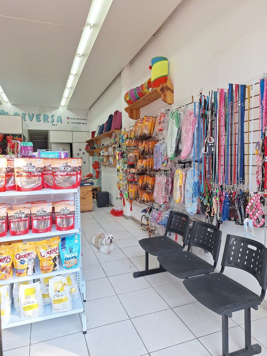 Diversa Pet - Petshop em BH, Banho e Tosa, Rações, Coleiras, Brinquedos, Petiscos, Vermifugos - Pet Shop em Belo Horizonte