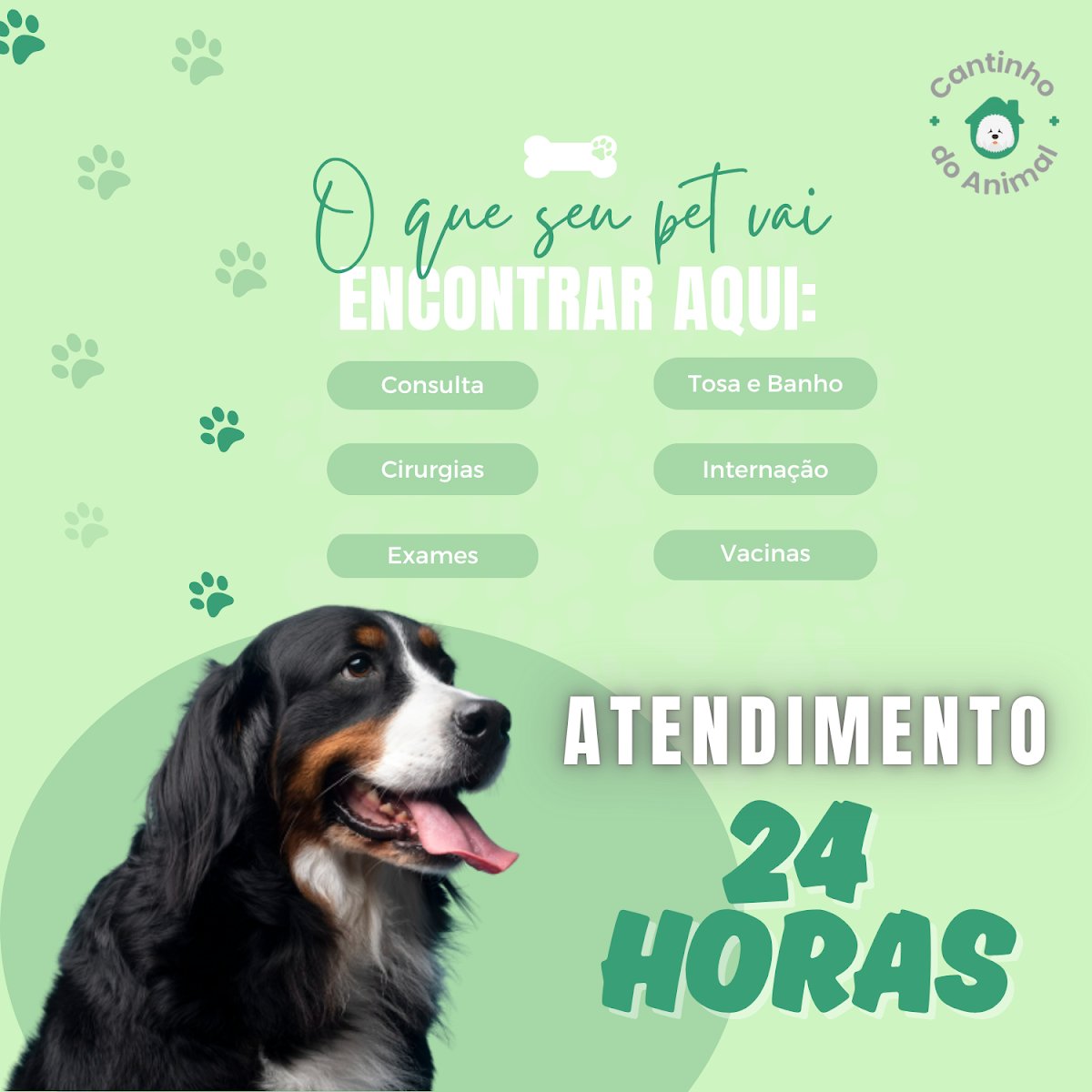 Clinica Veterinária Cantinho do Animal - Pet Shop em Belo Horizonte