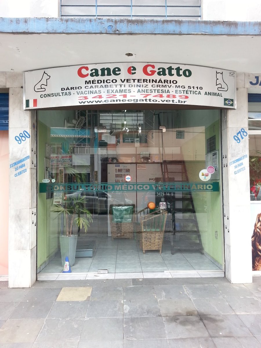 Cane e Gatto Consultório Médico Veterinário - Pet Shop em Belo Horizonte