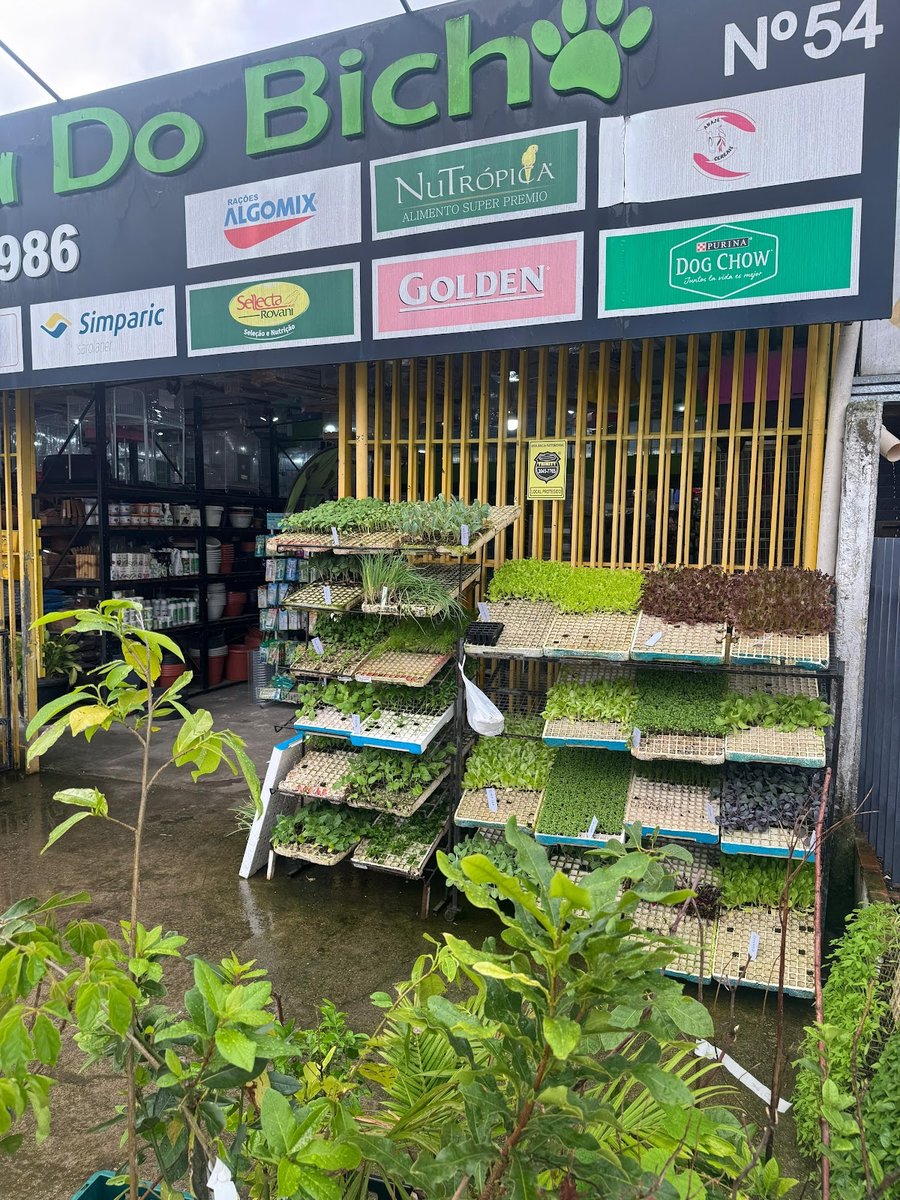 Aviário Toca do Bicho - Pet Shop em Curitiba