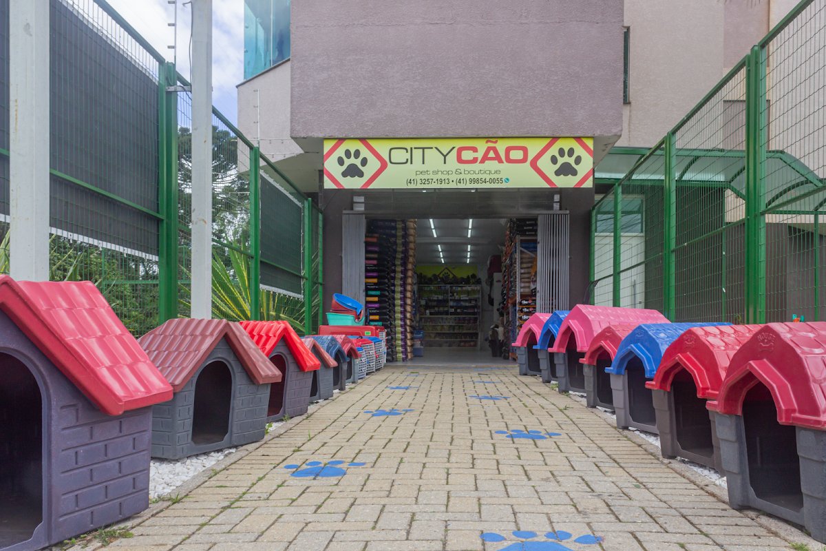 Pet Shop City Cão