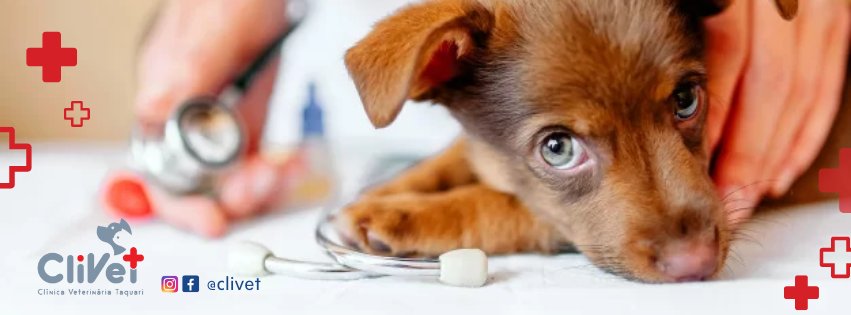 Clínica Veterinária e Pet Shop Taquari