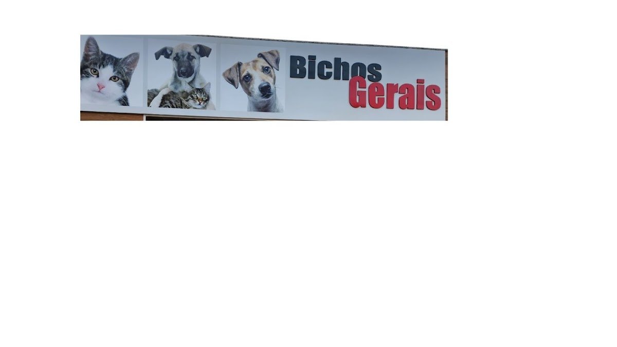 CLÍNICA VETERINÁRIA BICHOS GERAIS UNIDADE PITANGUI - Pet Shop em Belo Horizonte