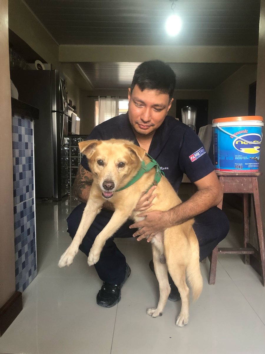 Veterinário Domiciliar | Dr Diego Ruan | Manaus - Pet Shop em Manaus