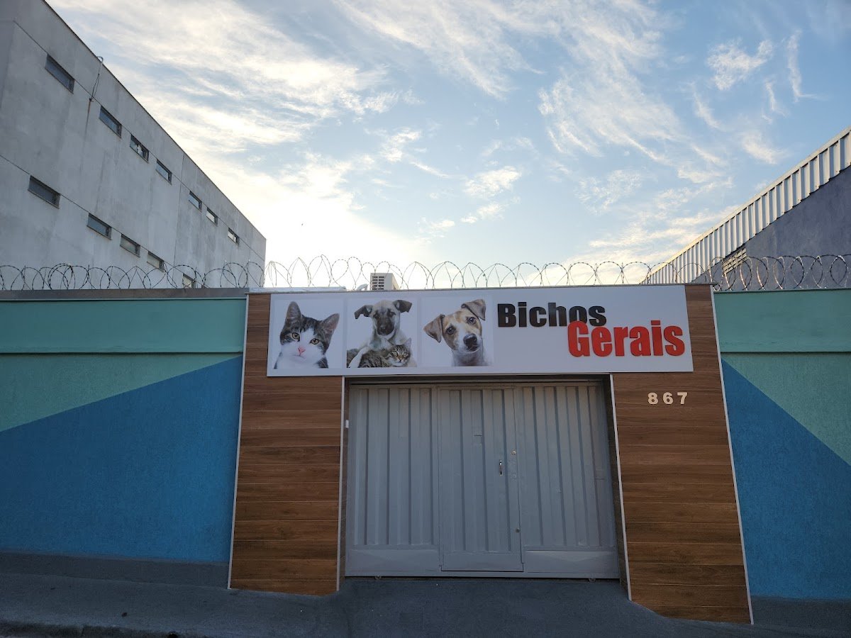 CLÍNICA VETERINÁRIA BICHOS GERAIS UNIDADE PATRIARCA - Pet Shop em Belo Horizonte