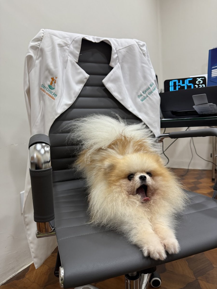 Day Clinic Pet Clínica Veterinária