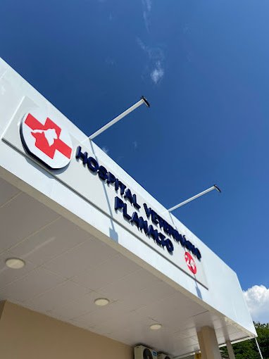 Hospital Veterinário Planalto - Clínica Veterinária Manaus - Pet Shop em Manaus