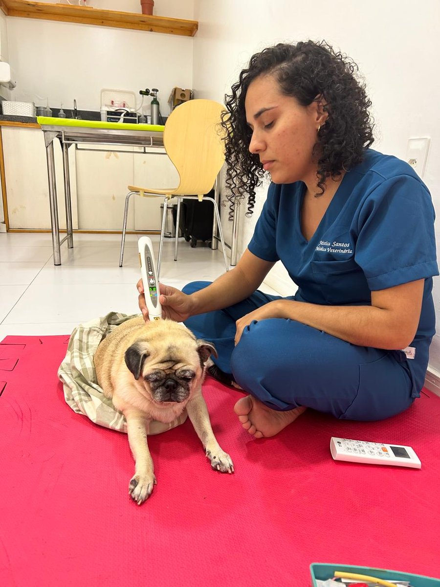 Petzen Clínica Veterinária Integrativa