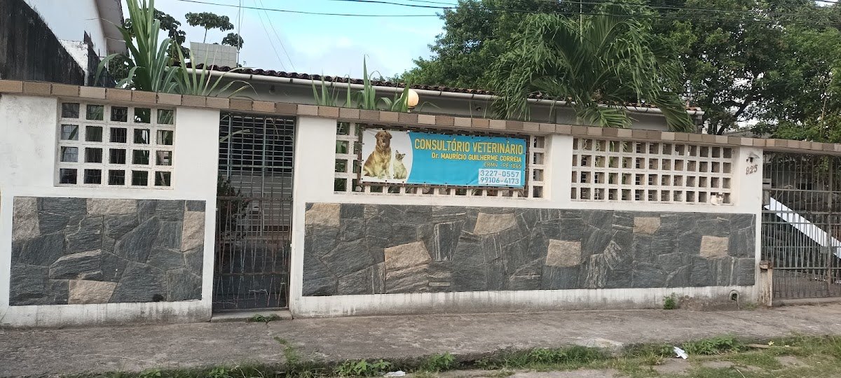 Consultório Veterinário Maurício Guilherme Correia