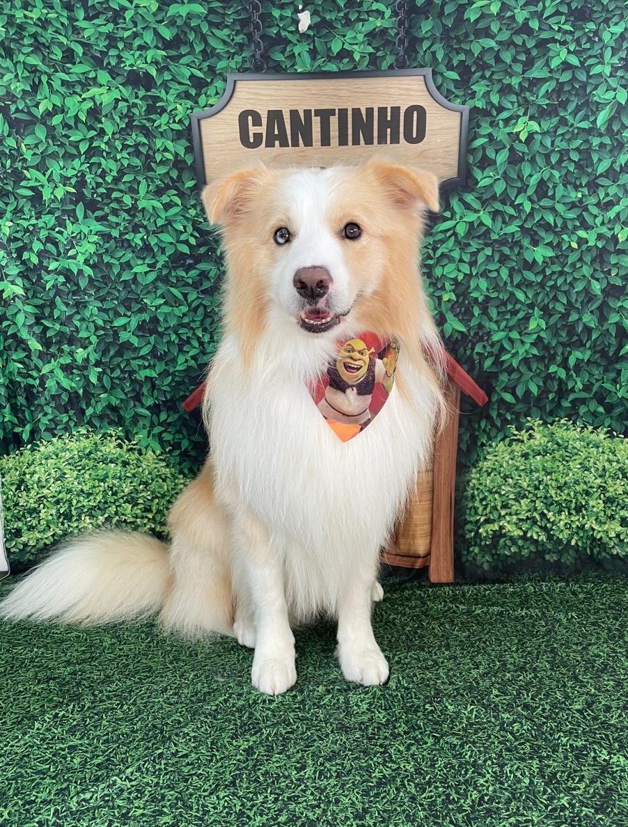 Uzamiguinhospets, União Belo Horizonte