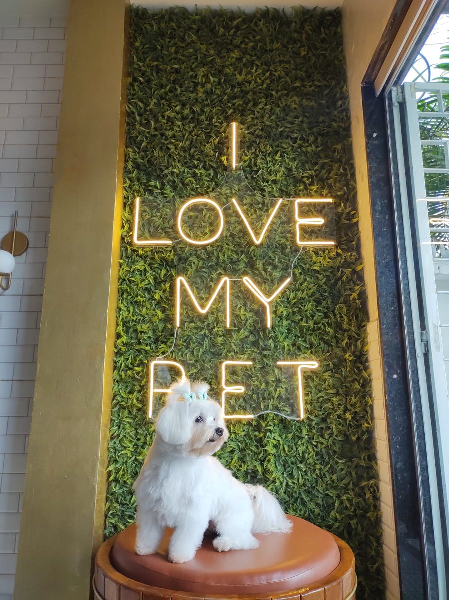 Queen Pet Salon