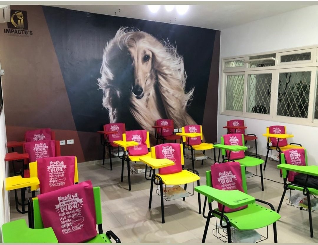 CURSO DE BANHO E TOSA RECIFE - Pet Shop em Recife