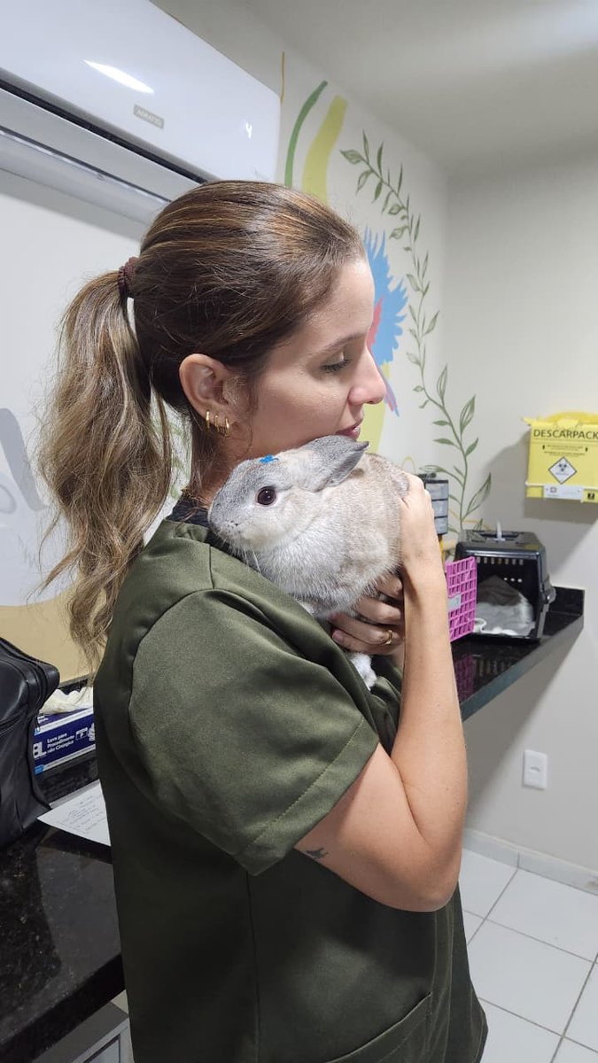 Consultório Veterinário Ninho | Silvestres e Exóticos | Recife - PE