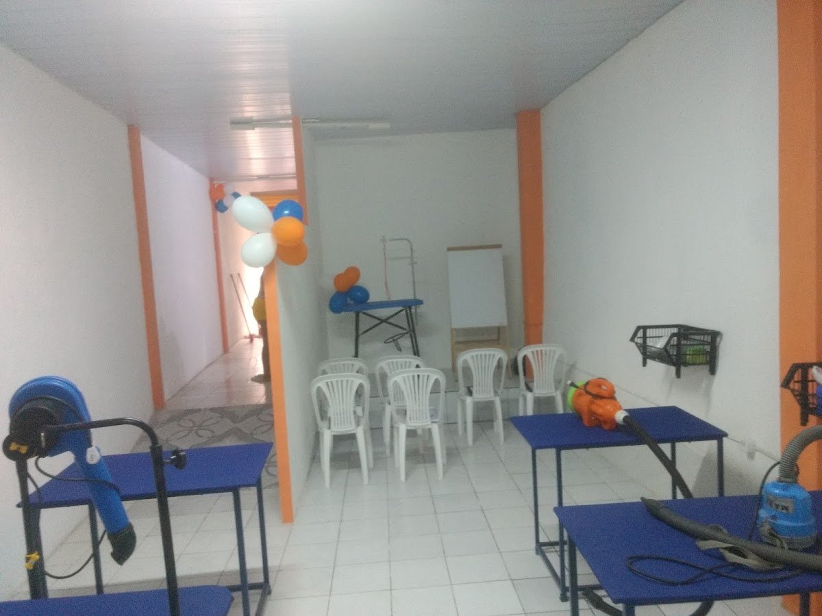 Pelos Pet Curso De Banho E Tosa