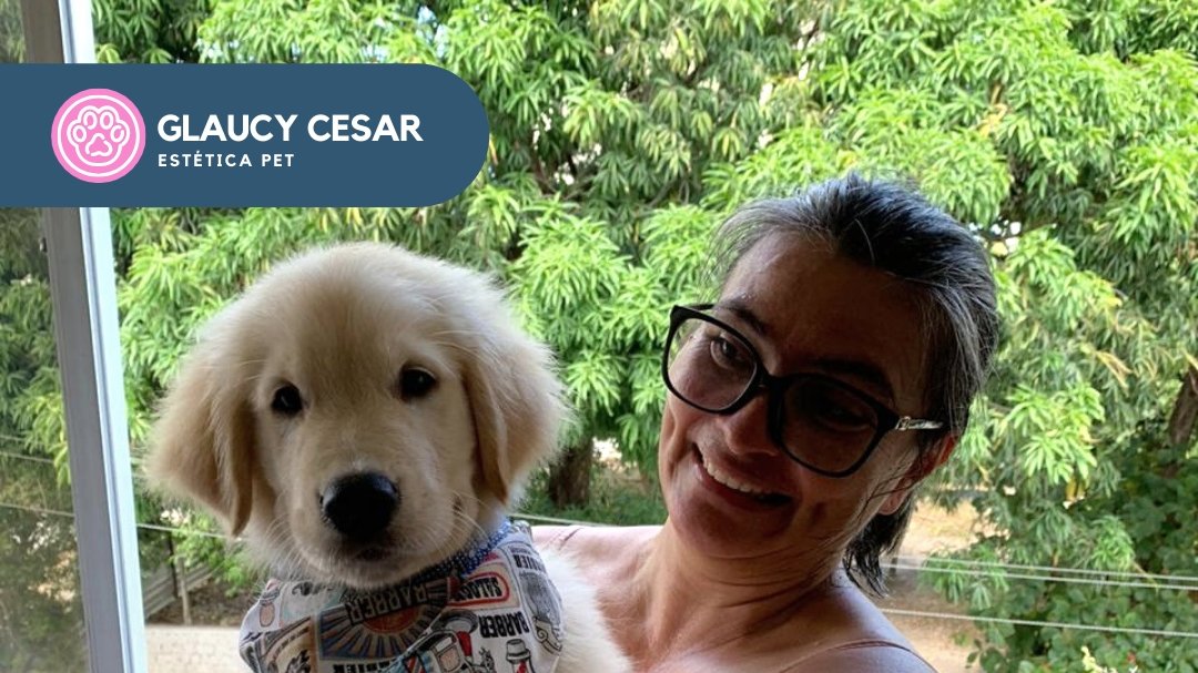Glaucy Cesar Estética Pet - Banho e tosa para cães Recife - Especialidade em Golden Retriever