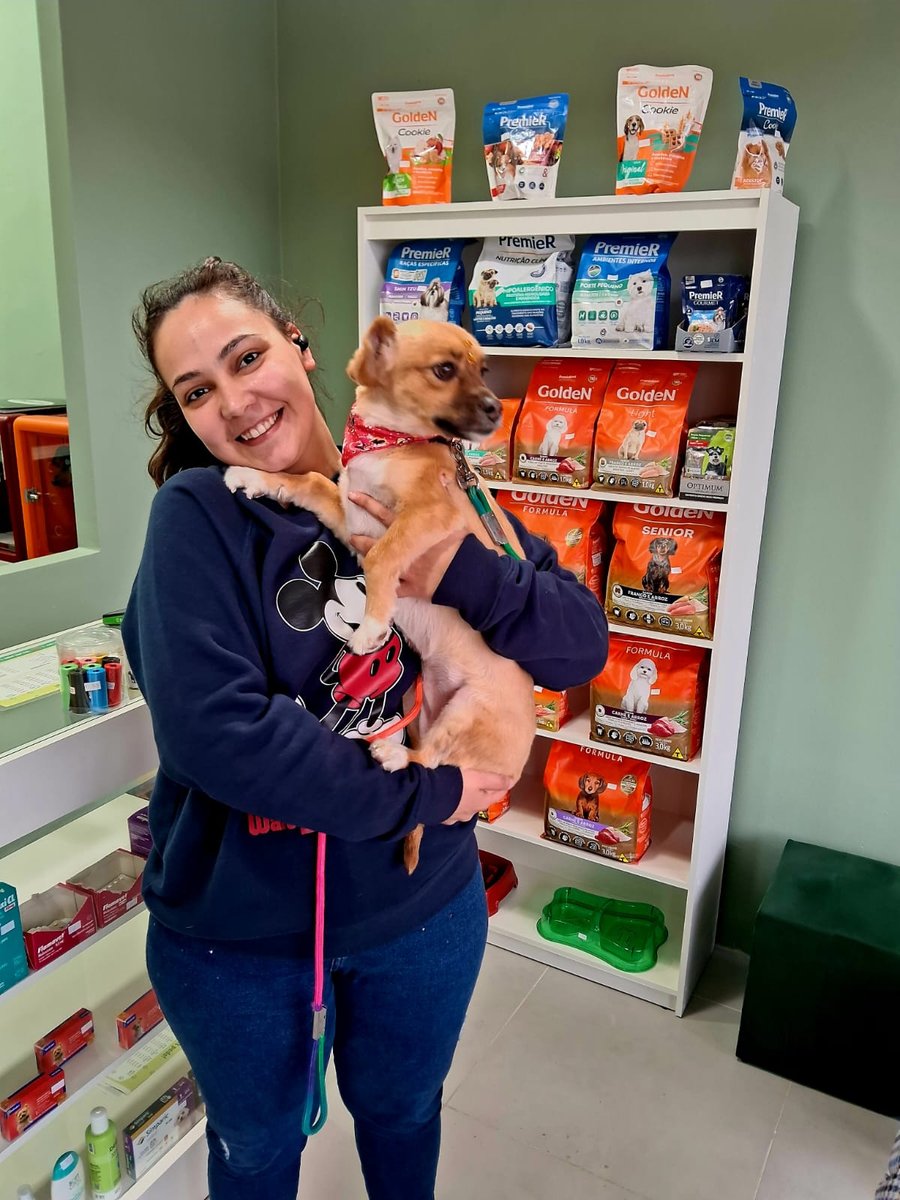 teu pet pede banho e tosa - Pet Shop em Porto Alegre