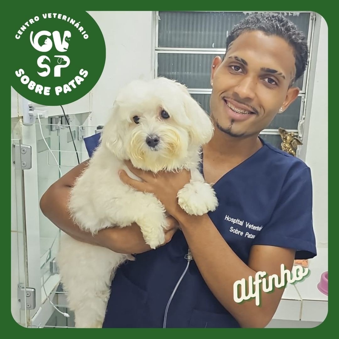 Centro Veterinário Sobre Patas - Pet Shop em Recife