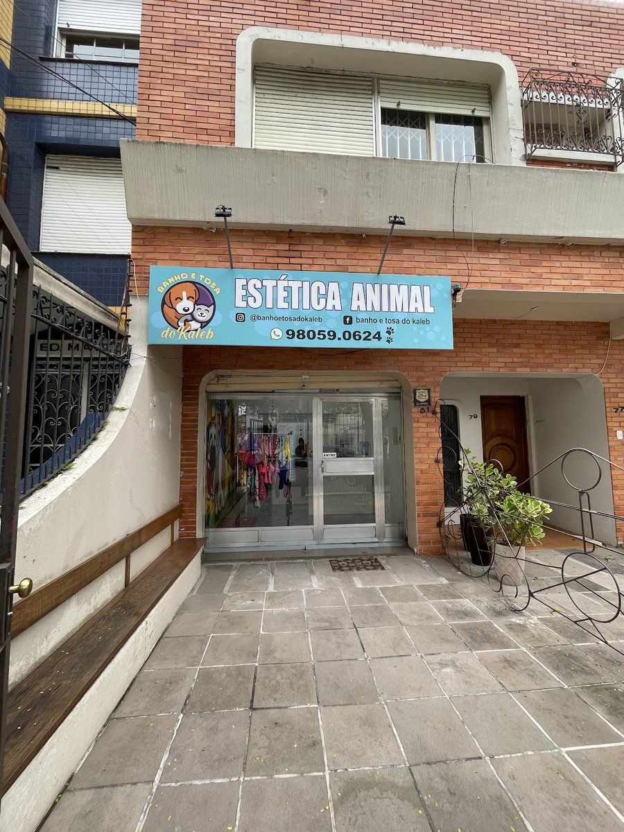 Banho e Tosa do Kaleb - Pet Shop em Porto Alegre