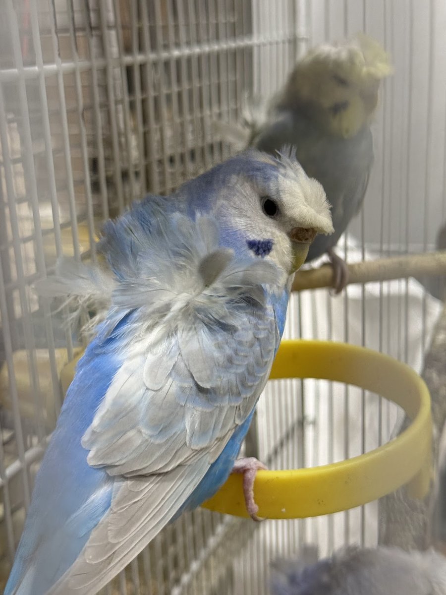 Abba Products Corporation