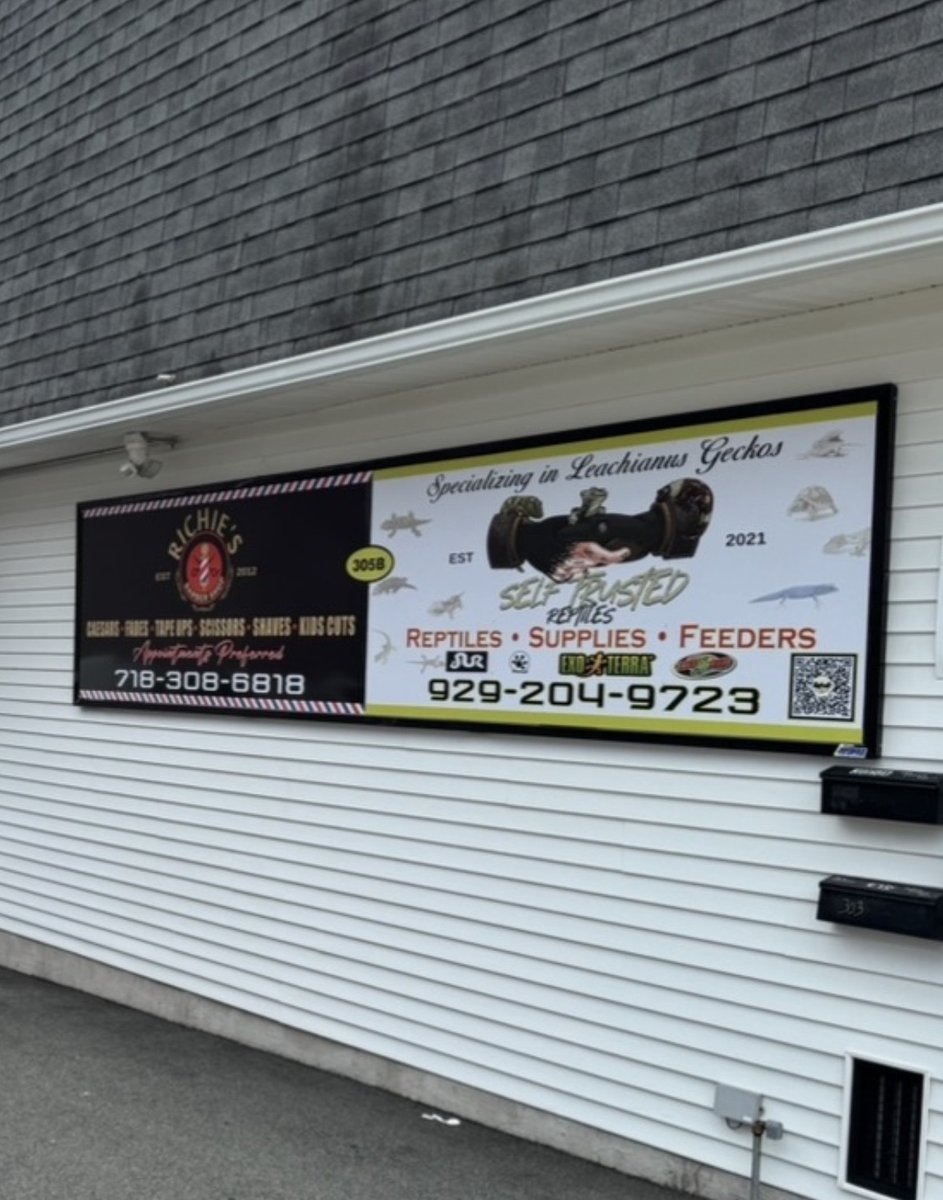 Self Trusted Reptiles