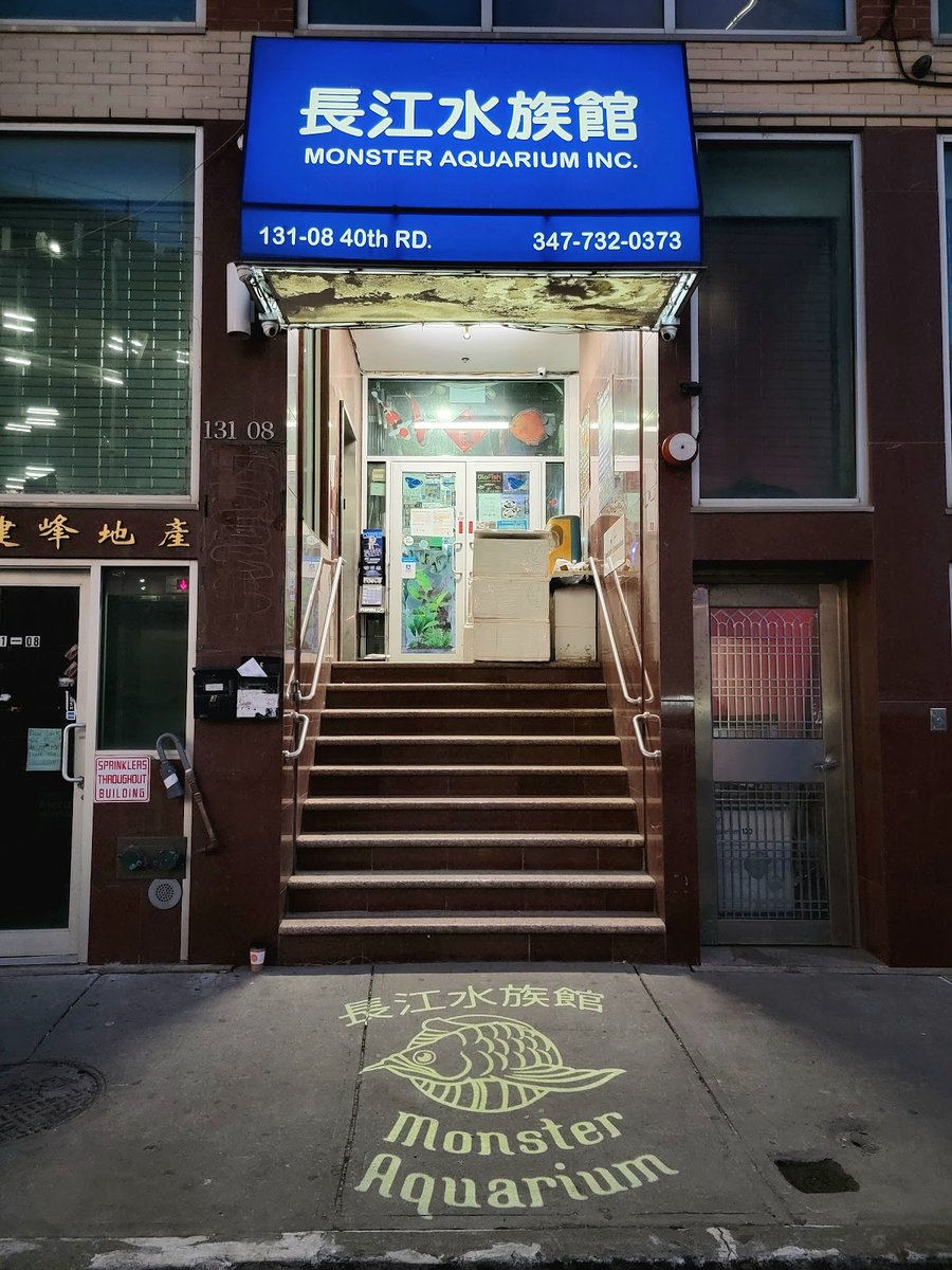 Monster Aquarium Inc - Shop in Queens New York