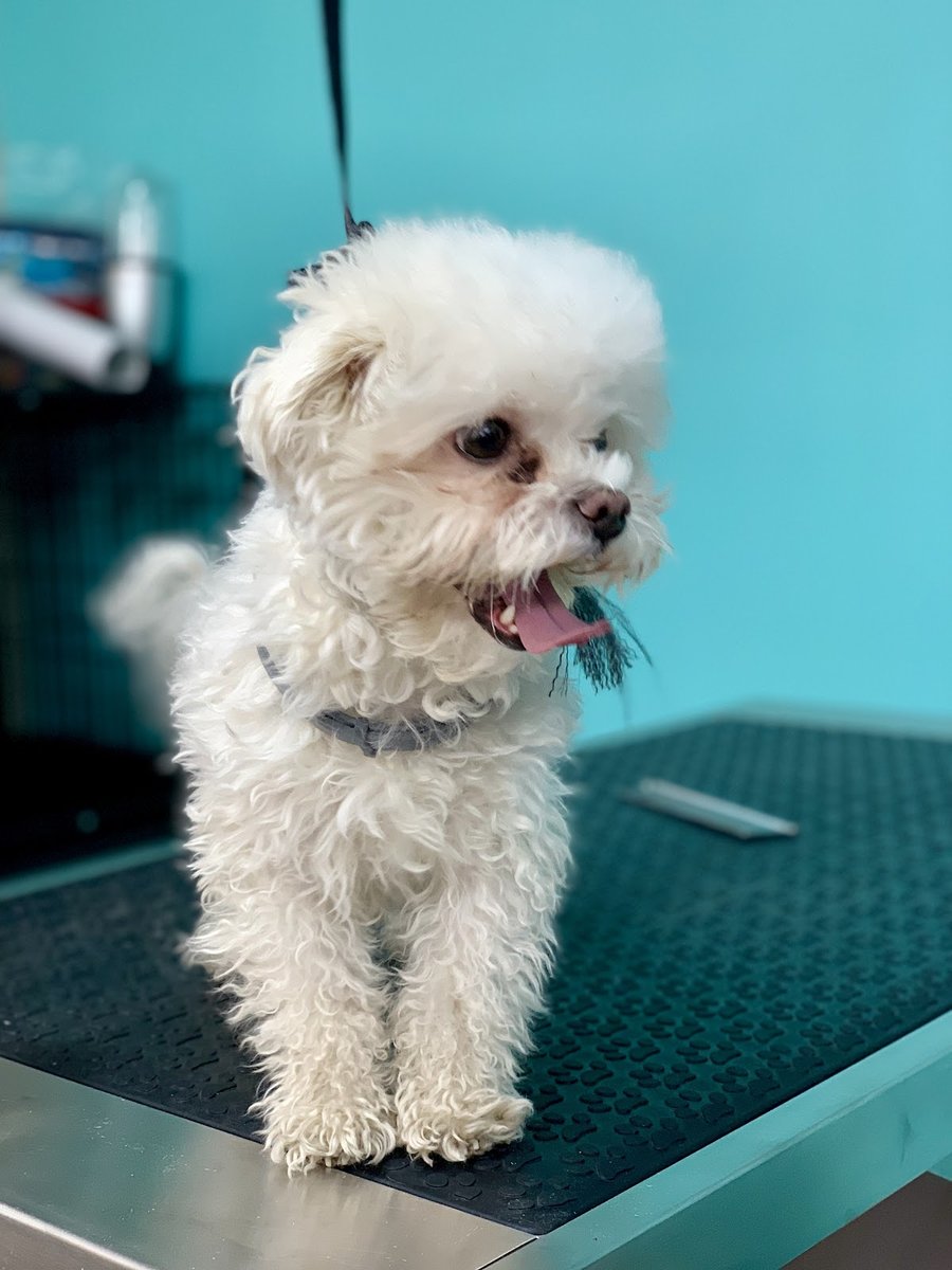 M&M Pet Boutique & Supplies