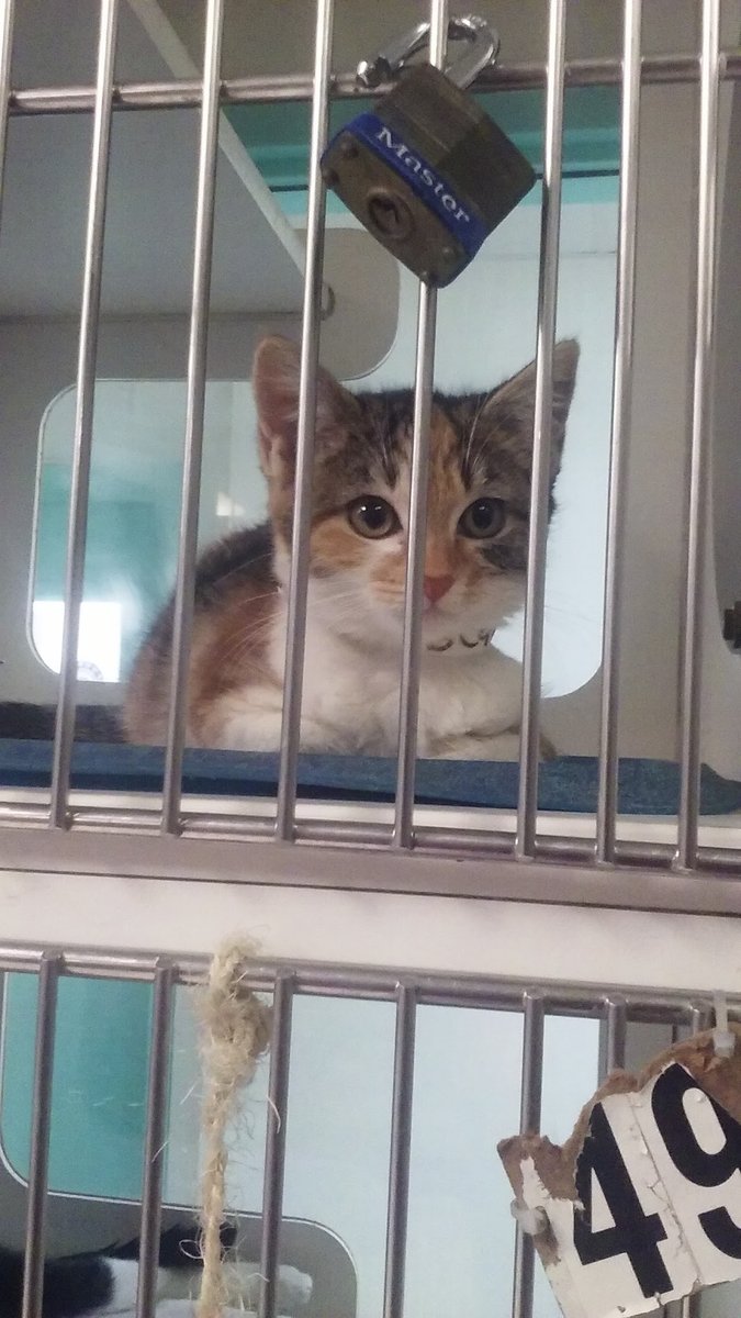 Associated Humane Societies