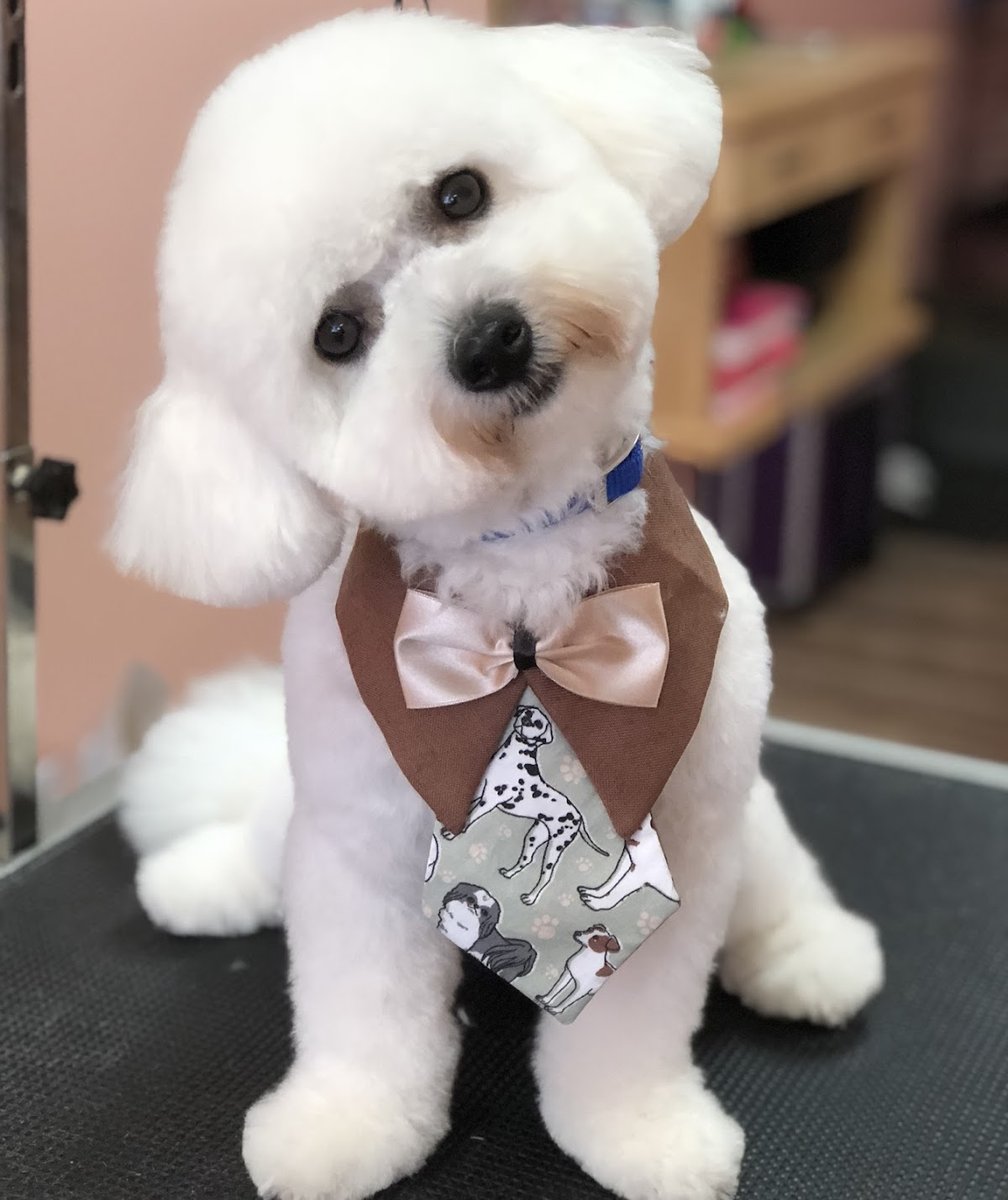 The Dog House Pet Salon