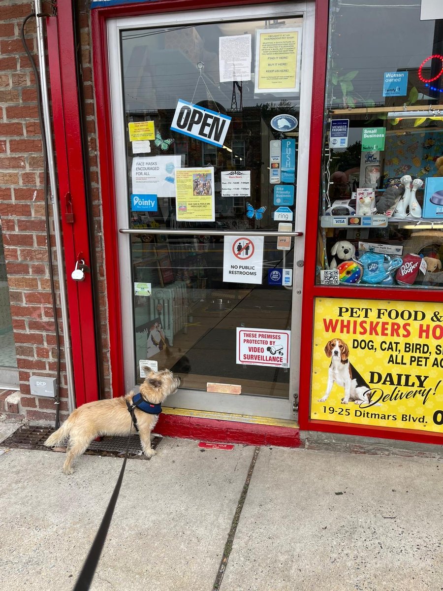 Whiskers Holistic Pet Care