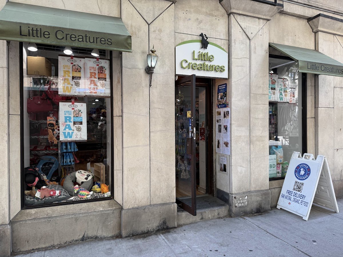 LITTLE CREATURES - Pet Shop in New York
