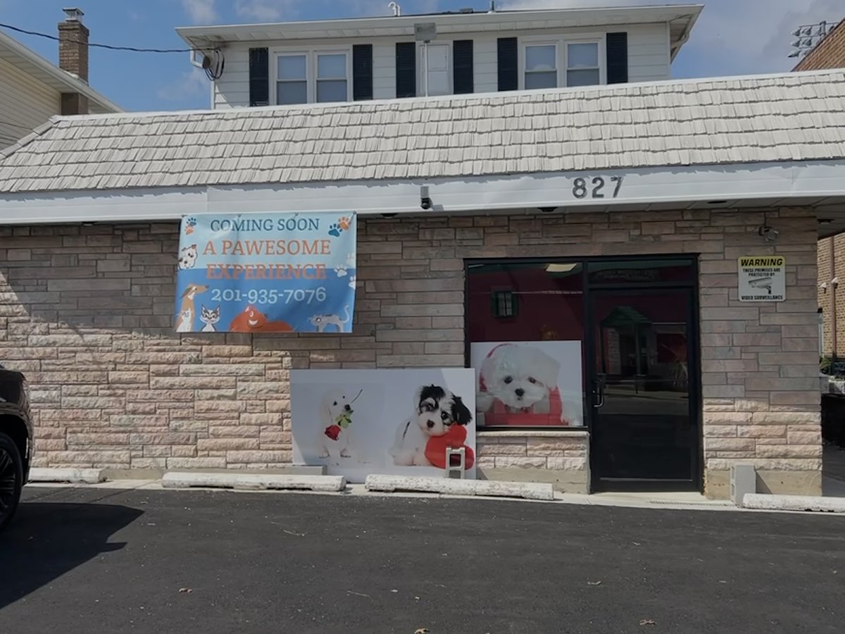 Pawesome Pet Spa rebranded A Pawesome Experience - Lyndhurst