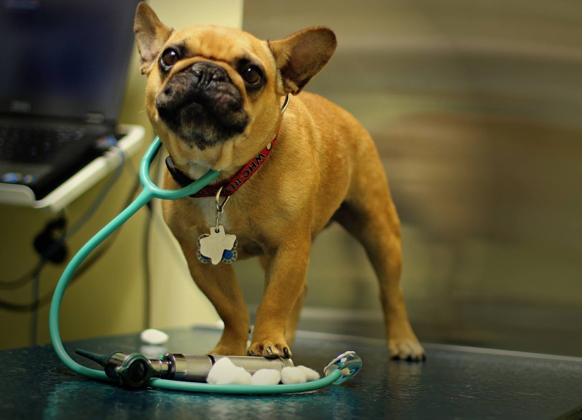 Animal Clinic of Marine Park