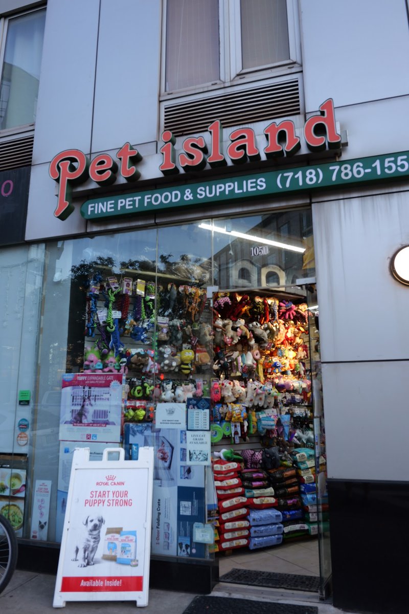 Pet Island - Pet Shop in New York