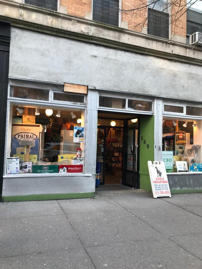 LITTLE CREATURES - Pet Shop in New York