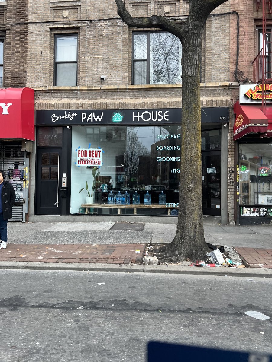Brooklyn Paw House