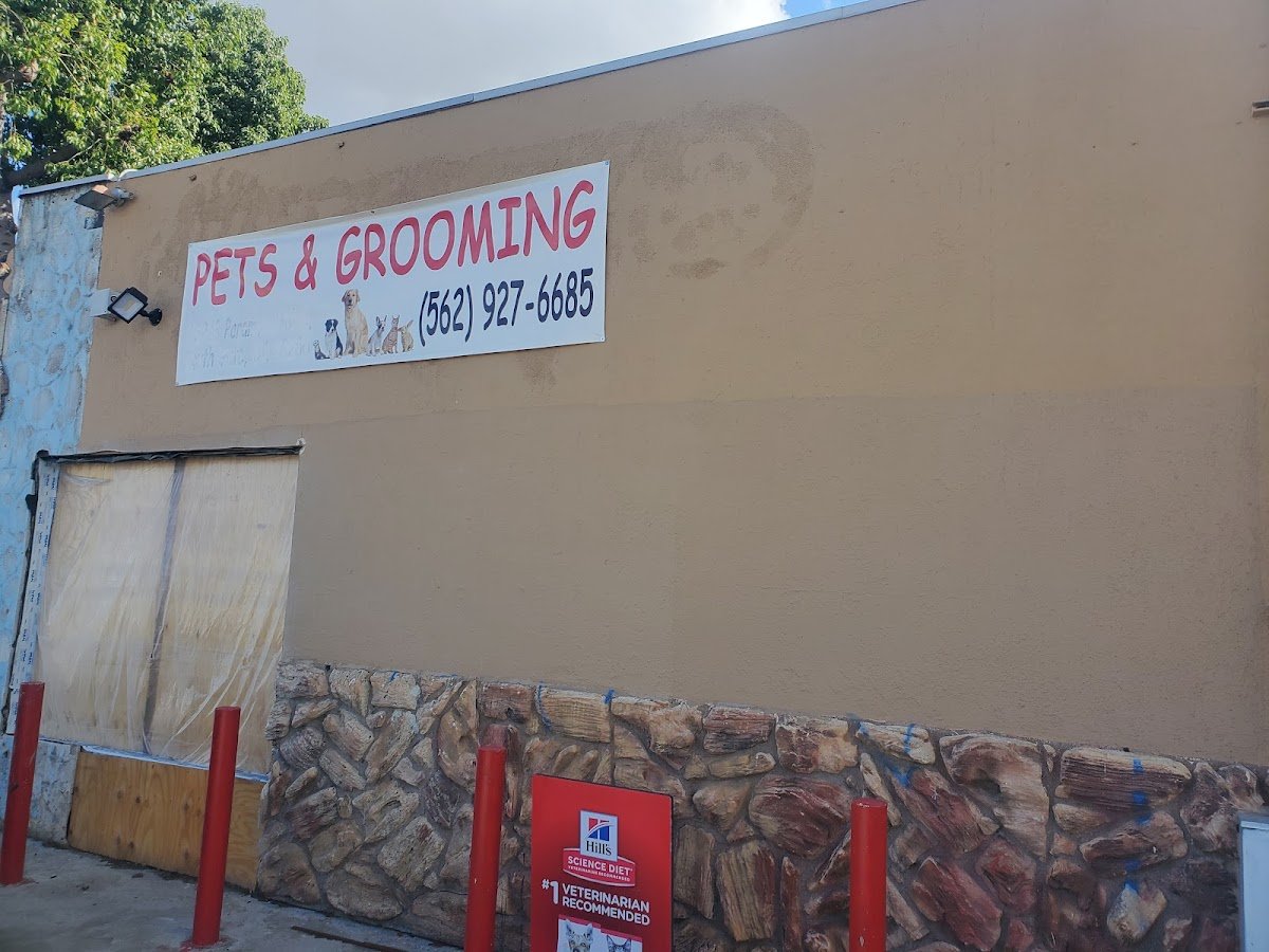 Pets & Grooming