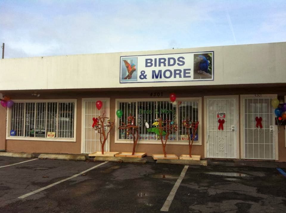 Birds & More - Pet Shop in Lawndale