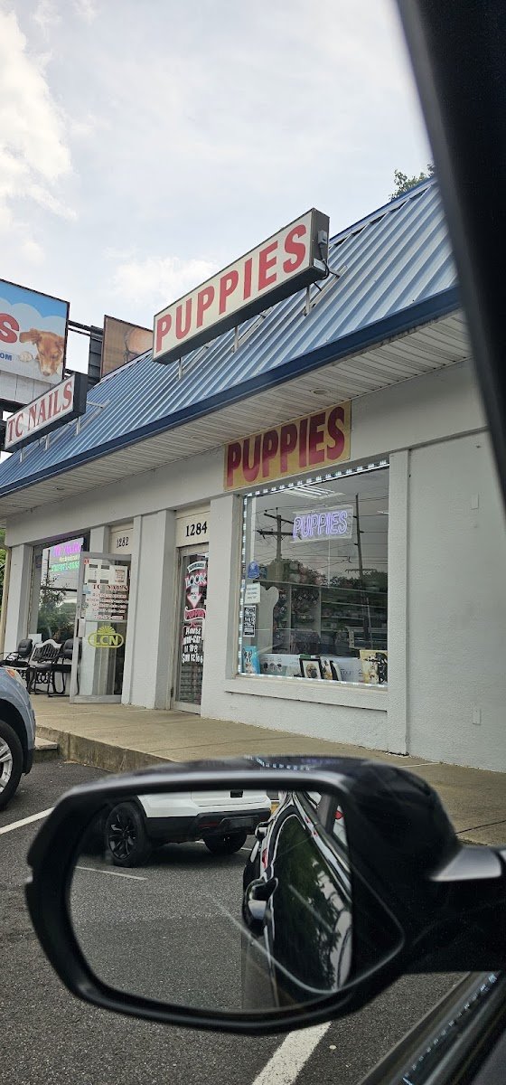 The Pet Shoppe - Photo 2